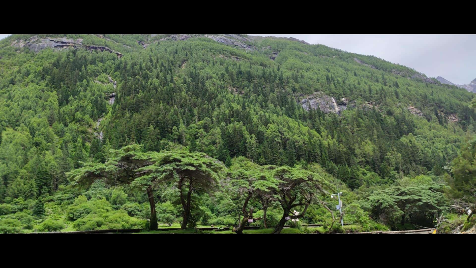 四姑娘山