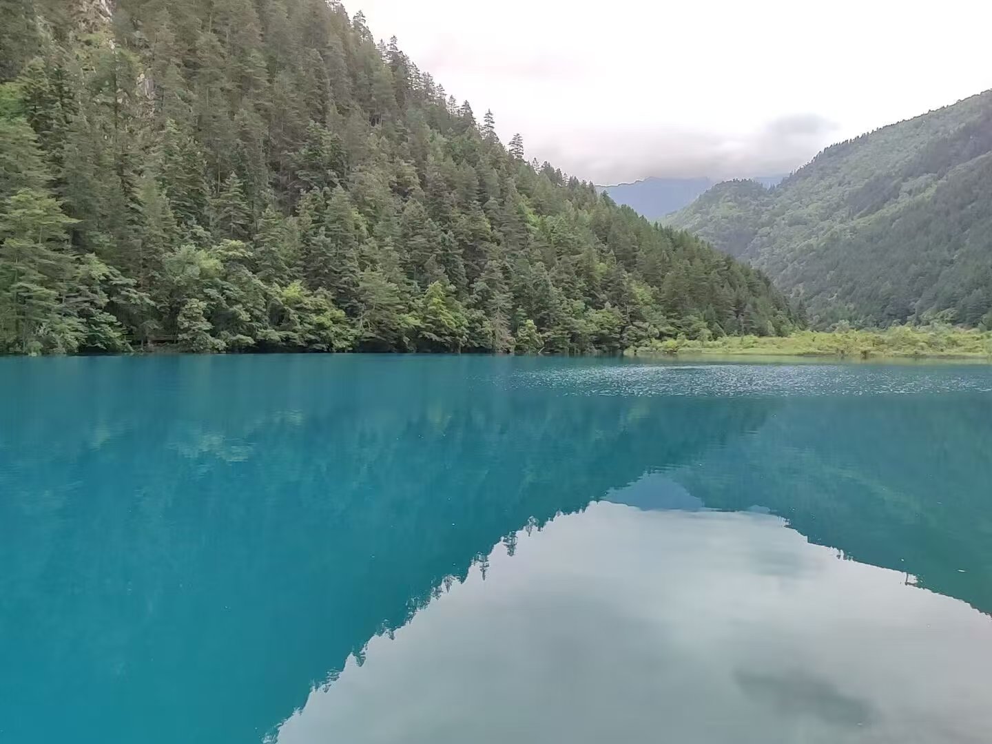熊猫海